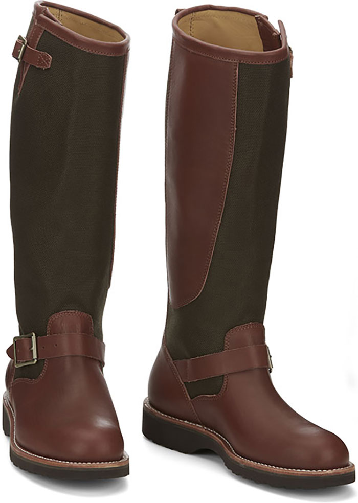 Descaro 17” Snake Boot in Oro Russett (brown).